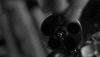 giphy (3).gif