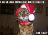 A8F87B76-514A-417E-AC57-4A0E4A7BBA48.jpeg