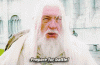19389881-C725-4F9D-90E6-A42C861E29EB.gif