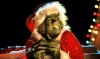 GRINCH.jpg