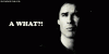15169771.gif
