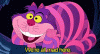 tenor (8).gif