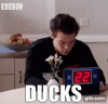 FB61443C-9073-434D-A64C-479BB6845FA3.gif