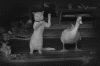 AE069567-F2AD-4AF6-9518-6EAAAE6BE7F3.gif
