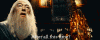 giphy-1.gif