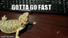 8809DCDA-062B-4438-8420-5AC42F649485.gif
