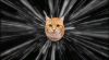 1549C054-A93F-4671-B950-AAFB34190538.gif