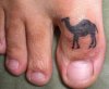 1704camel-toe.jpg