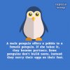 15-Amazing-Facts-You-Didnt-Know-About-Animals__880.jpg
