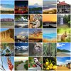 PicMonkey-Collage.jpg