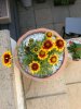 IMG_20180611_182637.jpg