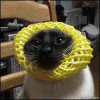 7C74B501-0BD7-445B-9392-0973459059AA.gif