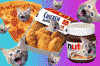 tumblr_lf9b2eohgR1qdjbbio1_500.gif