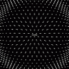 C36972D7-5BDA-4776-A5FF-AAC2252F4D68.gif
