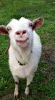 BCF8F3BE-3EC7-4330-AF5C-348B2F7F05B9.gif