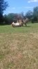 20180714_122853.jpg