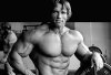 Arnold-Schwarzenegger.jpg