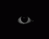 giphy (1).gif