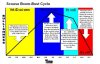 B4cMFzwCcAMto09.jpg