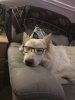 E29DB6D0-A4BA-4284-BBC5-A81F405E65CE.jpeg