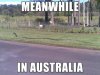 meanwhile_in_australia_640_22.jpg