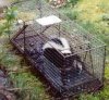Skunk.jpg