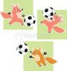 fox goalie.jpg