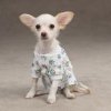 my-baby-dog-onesie-2.jpg