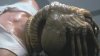 Alien-Life-Cycle-Feature-Image-05072017.jpg