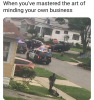 44545770_1240358366106729_6131301660284157952_n.png