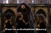 HadronPotter_zpswobypxng.jpg