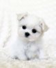 upload_2018-11-2_13-46-37.jpeg