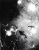 9FE2AD69-D920-4C53-88BF-104F0471FAB3.jpeg
