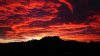 _104244161_edinburghcastleatsunrisecarolynpeachey.jpg