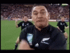 BogusJitteryKite-small.gif