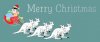 ChristmasHead.jpg