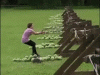 200w.gif