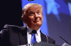 giphy-2.gif