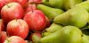 Apples-and-Pears-1.jpg