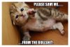 homeless-pets-killing-stop-save-us-from-the-bullshit5.jpg