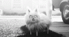 747903.gif