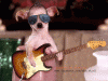 giphy (17).gif