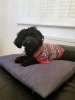 IMG-20181223-WA0000.jpg