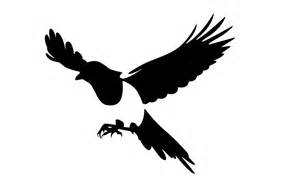 SilkySwan