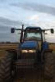 FarmerTiger