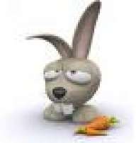 KwazyWabbit