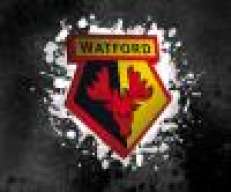 watty56