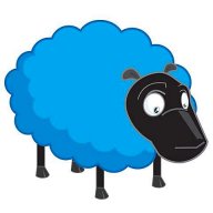 Blue Sheep