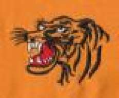 veneztiger