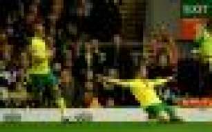 canarynorwich100